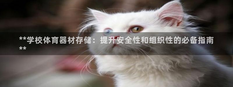 耀世娱乐如何登录账号密码：**学校体育器材存储：提升安全性和