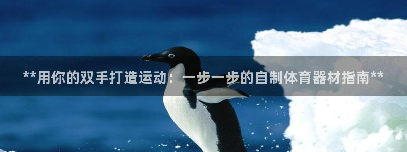 耀世娱乐提款怎么取消：**用你的双手打造运动：一步一步的自制