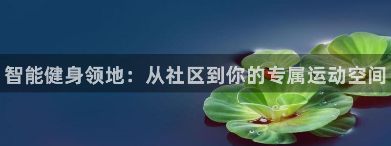 耀世平台负责人是谁