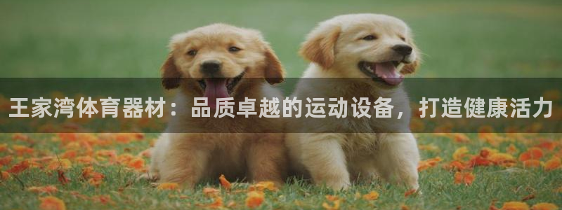 耀世集团是干嘛的企业