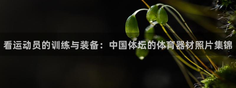 耀世集团王大聪