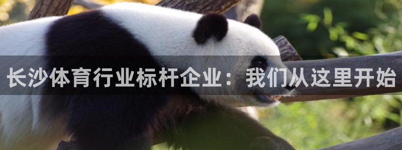 耀世娱乐百科官网