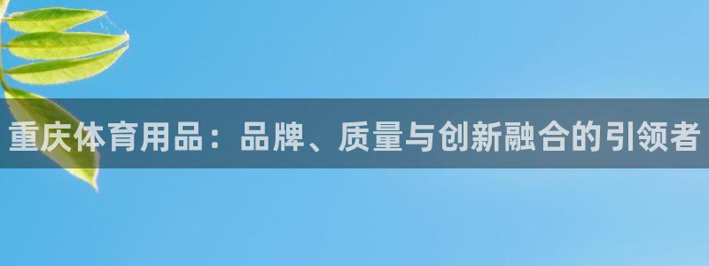 耀世娱乐注册入口：重庆体育用品：品牌、质量与创新融合