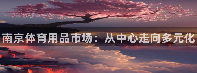 耀世国际平台正规吗安全吗可靠吗：南京体育用品市场：从