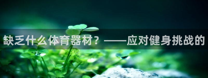 耀世开放什么意思：缺乏什么体育器材？——应对健身挑战