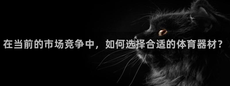 耀世娱乐是正规还是仿真：在当前的市场竞争中，如何选择合适的体