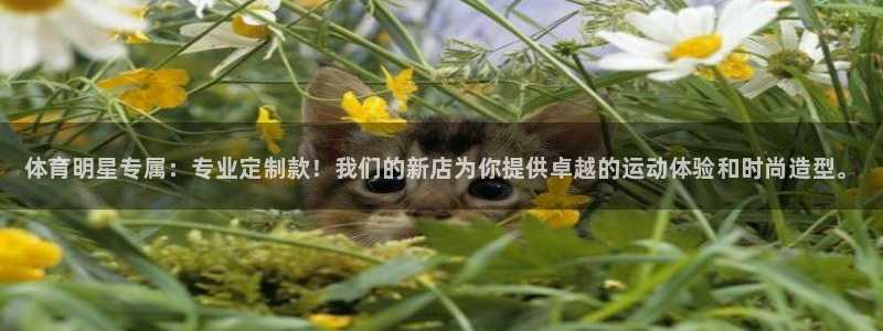 耀世平台app下载安装官网：体育明星专属：专业定制款！我们的