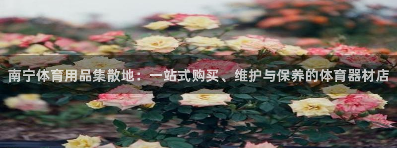 耀世娱乐官网首页登录：南宁体育用品集散地：一站式购买
